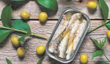 TUNJEVINA ILI SARDINE, ŠTA JE ZDRAVIJE? Nutricionistkinja otkriva šta treba da znate o ribama iz konzerve!