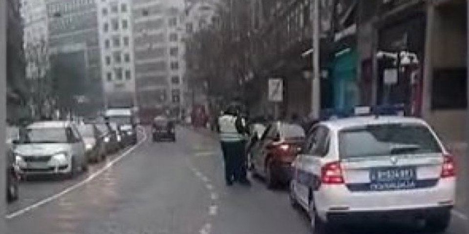 PAŽNJA, NOSI PAUK! Beograđani, ako ste pomislili da se ovde parkirate, NIKAKO TO NE RADITE! /VIDEO/