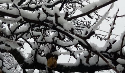 Rada na Božić izašla u dvorište i u snegu ugledala NEVEROVATAN PRIZOR /FOTO/