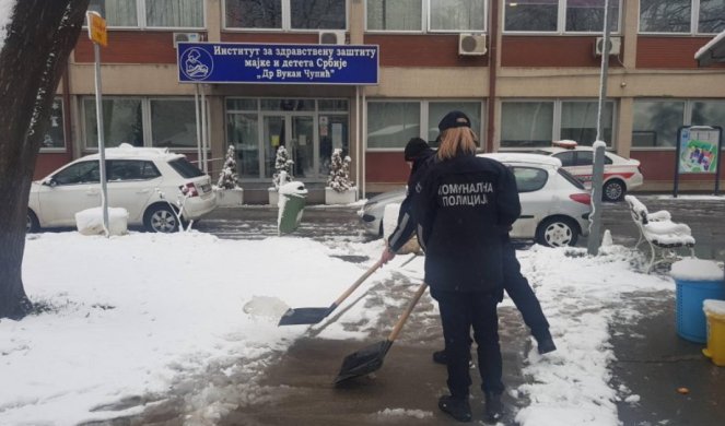 BRAVO DEVOJKE I MOMCI! VI STE PONOS NAŠEG GRADA! Pripadnici Komunalne milicije očistili prilaze bolnicama u Beogradu! /Foto/