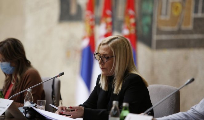 Ministarka pravde Maja Popović učestvovala je na 128. Plenarnom zasednju Venecijanske komisije