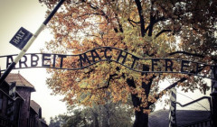 PROTESTANTI U BEOGRADU ZLOUPOTREBILI TRAGEDIJU JEVREJA! Stigla reakcija iz Auschwitz Memorial na nošenje ŽUTE TRAKE antivaksera!