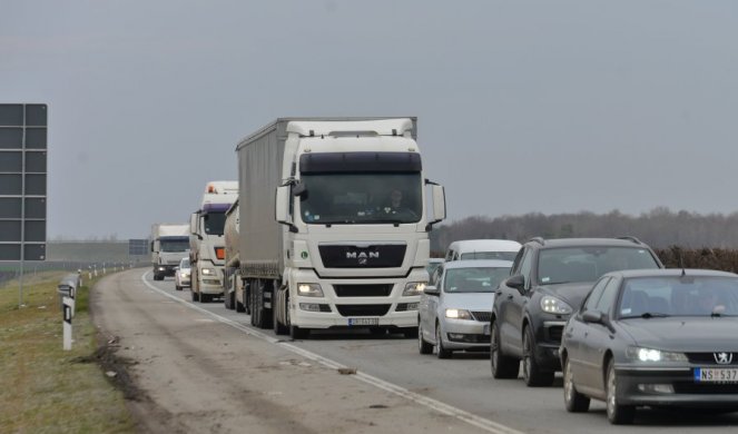 ZAPALIO SE KAMION SA STOKOM! Nesvakidašnja nesreća na autoputu kod Batočine, saobraćaj usporen