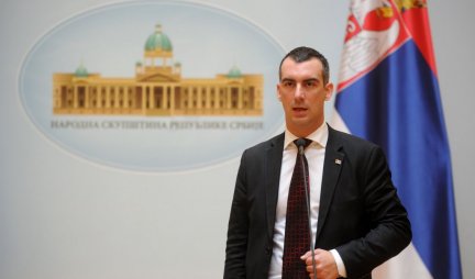 VLADIMIR ORLIĆ POČISTIO ĐILASA: SSP plan za Beograd u dve tačke završio u fronclama!