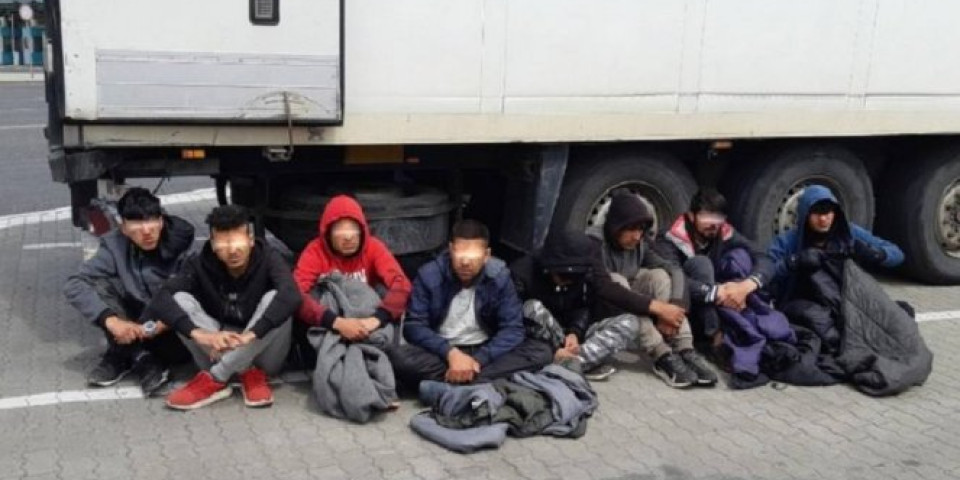 NOVA USPEŠNA AKCIJA ŽANDARMERIJE! Otkrivena velika grupa ilegalnih migranata kod Novog Sada!