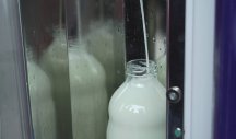 Proizvođači mleka iz Banata: Treba uvesti takse i na uvoz sira