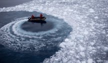NAUČNICI DOŠLI DO NEVEROVATNOG OTKRIĆA! Evo šta je nekada RASLO na Antarktiku