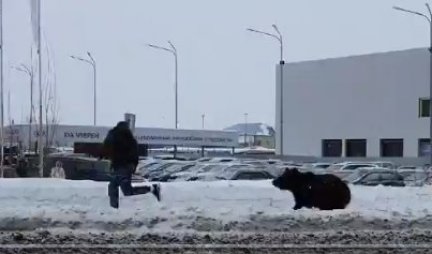 ZAPANJUJUĆI SNIMAK IZ RUSIJE! Čoveku se usred grada prišunjao ogroman medved i počeo da ga juri, pogledajte kako se spasio! /VIDEO/