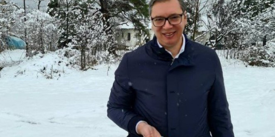 NAPRAVIO SAM GRUDVU... Vučić se oglasio na Instagramu iz snegom pokrivene Srbije /FOTO/