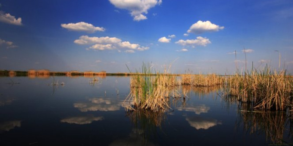 Danas toplo, do 29 stepeni, ponegde kiša posle podne