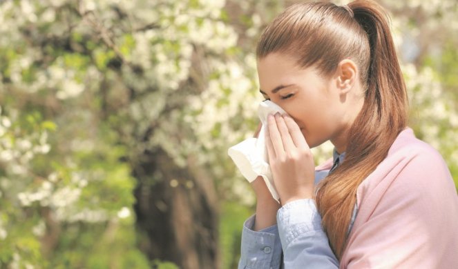 S PROLEĆA KREĆETE DA KIJETE I SLINITE? Infuzija od KOPRIVE pomaže baš kod polenske alergije!