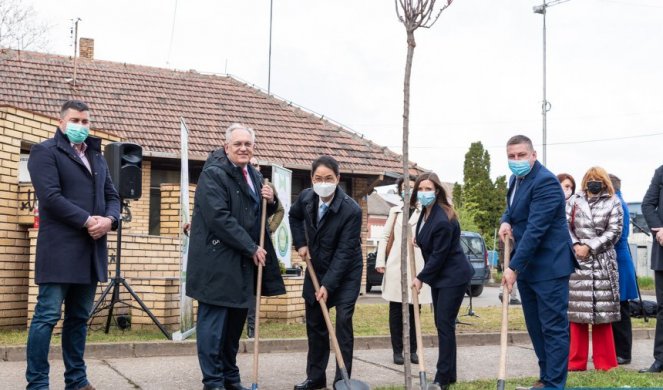 ZELENA SRBIJA" KRENULA IZ ZRENJANINA! Ambasadori sadili drvored podržali akciju pošumljvanja