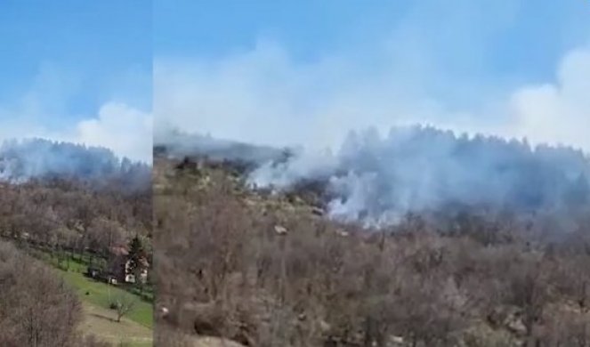 VATRA GUTA SVE PRED SOBOM! Gori šuma na Zlatiboru! /VIDEO/