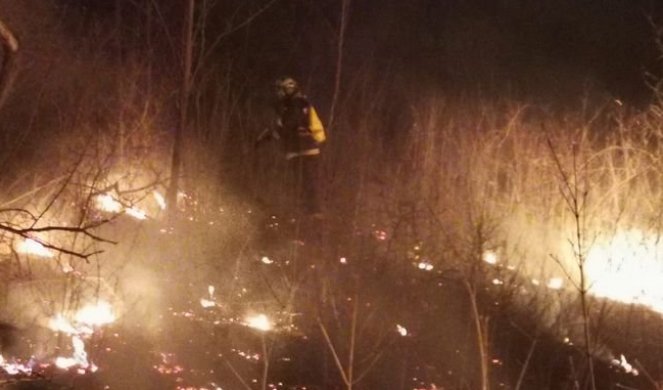 LOKALIZOVAN POŽAR NA ZLATIBORU! Iznad sela Trnava gorela šuma i rastinje, vatrogasci uspeli da SAVLADAJU VATRENU STIHIJU