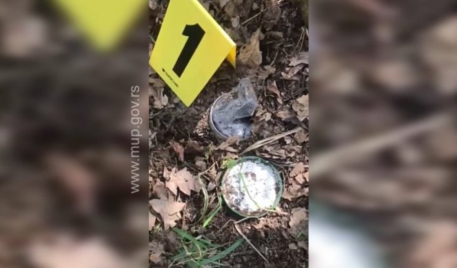 Policija u šumi kod Vrdnika OTKRILA SKROVIŠTE: Pogledajte šta su našli u zemlji /VIDEO/