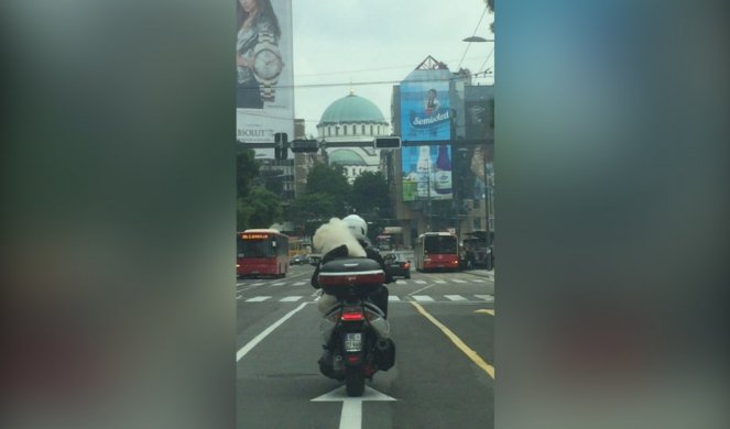 ŠOKANTNA SCENA NA SLAVIJI! Za ovim motoristom su se sve okrenuli! OVAKVOG SUVOZAČA NIKO NEMA!