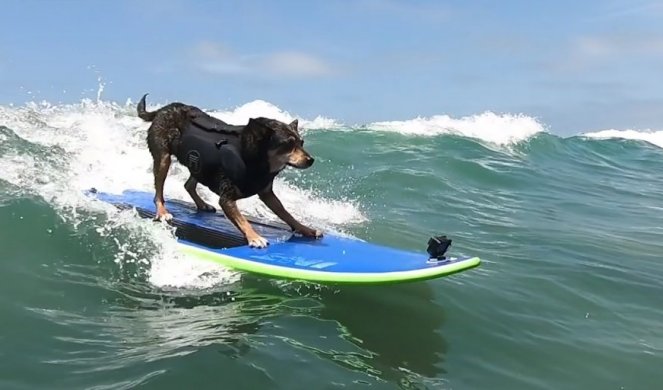 NEVEROVATAN ŽIVOT KERUŠE EBI! Ušla je u knjigu Ginisovu rekorda, bila go-pro ambasador i obučeni spasilac, a pepeo će joj biti rasut po Havajima, GDE JE NAJRADIJE SURFOVALA!