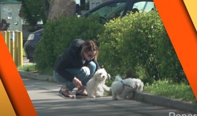 NAKON ŠTO JE BRUTALNO PRETUKLA PSA NA ULICI, OGLASILA SE MARIJANA MIĆIĆ! Iz prevelike ljubavi sam je izlupala! /VIDEO/