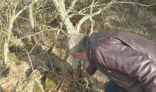 NA MISTERIOZNOM IMANJU U SRBIJI RASTE ČUDNA BILJKA! Plodovi su u obliku krstića, a dok je domaćin orao našao neobičan predmet! Foto