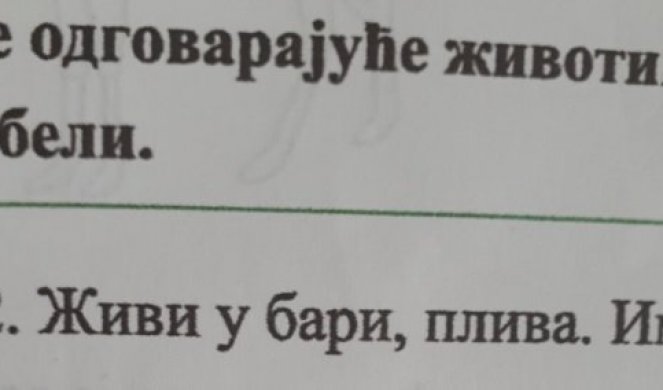 CELA SRBIJA SE PITA: KOJA JE OVO ŽIVOTINJA? Na zadatak koji je sve zbunio prvačić je dao hit odgovor, ali NIKO NE ZNA ŠTA JE USTVARI TAČNO