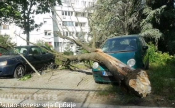 VETAR OBARAO DRVEĆE PO BEOGRADU, OŠTEĆENI AUTOMOBILI Duvalo i do 50 kilometara na sat /VIDEO/