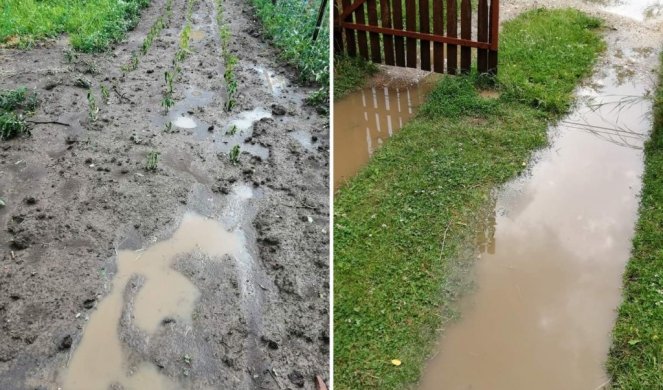 SNAŽNO NEVREME POGODILO SARANOVO! Olujni vetar lomio grane i skidao crepove sa objekata! Foto