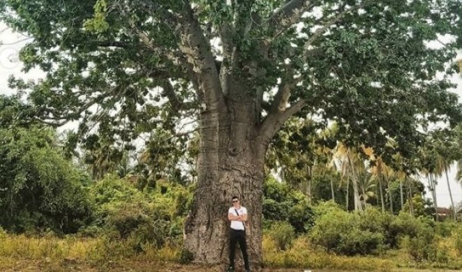 VUK PONOVO U SVOM ELEMENTU! Pričali su da je propao, a onda je glumac okačio fotografije sa ZANZIBARA - OBRIJAO SE, ŽENE U TRANSU! /FOTO/