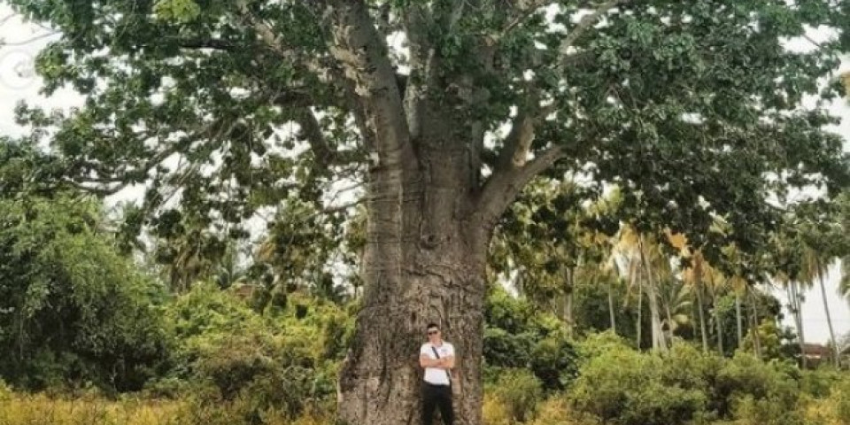 VUK PONOVO U SVOM ELEMENTU! Pričali su da je propao, a onda je glumac okačio fotografije sa ZANZIBARA - OBRIJAO SE, ŽENE U TRANSU! /FOTO/