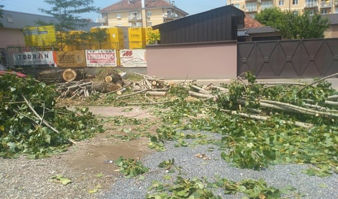 NEVREME ČUPALO STABLA IZ KORENA, UNIŠTILO KROVOVE I FASADE! Šapčani pohrlili u stvorišta kako bi popravili domove, ČEKALO SE U REDOVIMA OD OTVARANJA! Foto