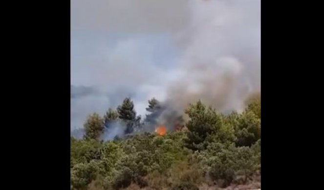 VELIKI POŽAR NA HRVATSKOM OSTRVU! Gore maslinjaci, borova šuma i žbunje! /VIDEO/