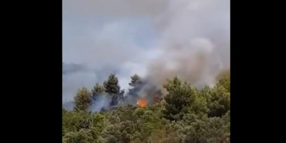 VELIKI POŽAR NA HRVATSKOM OSTRVU! Gore maslinjaci, borova šuma i žbunje! /VIDEO/