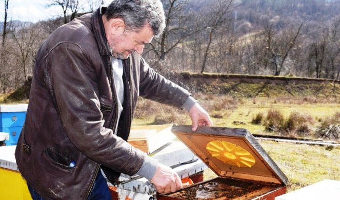 GLADAN MEDVED NAPRAVIO HAOS! Provalio u pčelinjak Radeta Marjanovića na Tari, pet košnica potpuno uništio/FOTO/