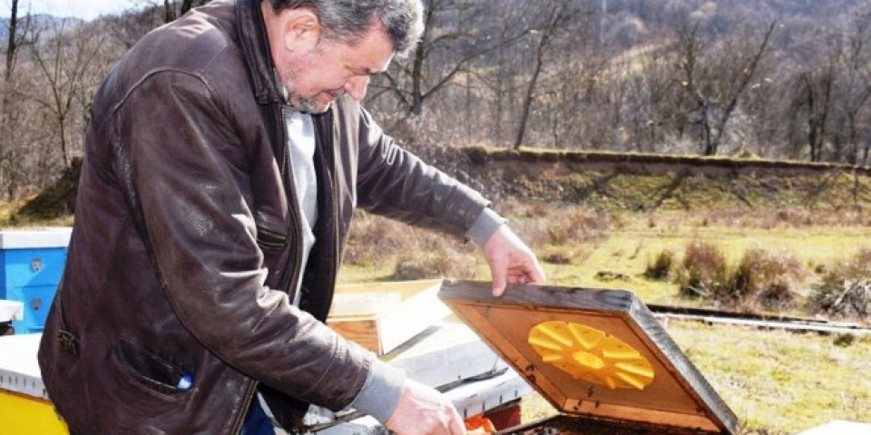 GLADAN MEDVED NAPRAVIO HAOS! Provalio u pčelinjak Radeta Marjanovića na Tari, pet košnica potpuno uništio/FOTO/