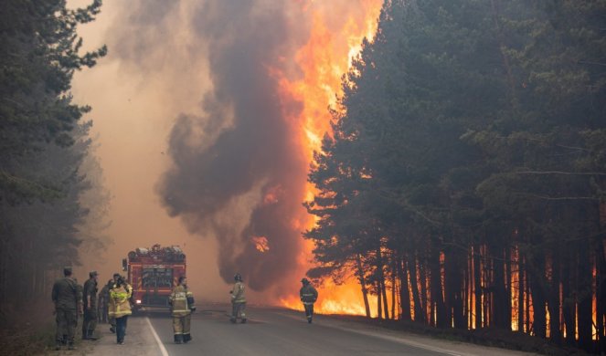 STRAVIČNE SCENE IZ SIBIRA Vatra guta šumu, traje borba sa više od 200 požara /FOTO/
