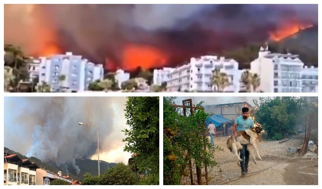 JEZIVE SLIKE IZ TURSKE, BROJ MRTVIH RASTE! Zgrade spaljene, ljudi beže pred naletom vatrene stihije /VIDEO/FOTO/