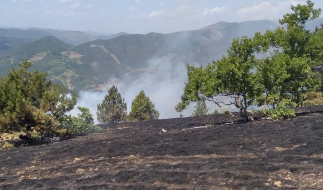 BORBA VATROGASACA URODILA PLODOM Lokalizovan požar u Mokroj Gori