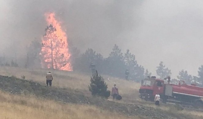 VATRENA STIHIJA PRETI KATASTROFOM ZLATIBORU I TARI! Vatra stigla nadomak prvih sela i radarskog centra, VATROGASCI SUZBIJAJU PLAMEN/VIDEO/FOTO/