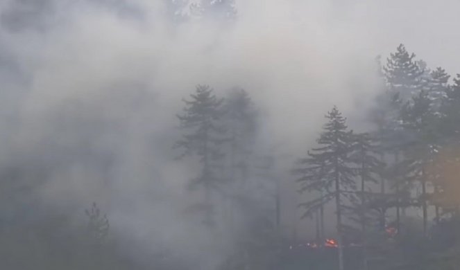 HITNO upozorenje za turiste u Crnoj Gori! Obrušava se drveće i kamenje u kanjonu Tare, požar prelazi u ogromne razmere!