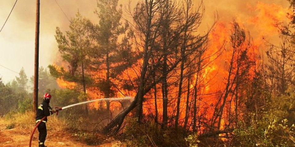 NADLJUSKI NAPORI U BORBI SA VATROM Srpski vatrogasci gase požare na Eviji