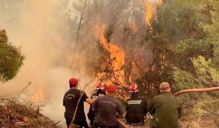 BORBA SA VATRENOM STIHIJOM NE PRESTAJE Srpski vatrogasci i dalje gase požare u Grčkoj