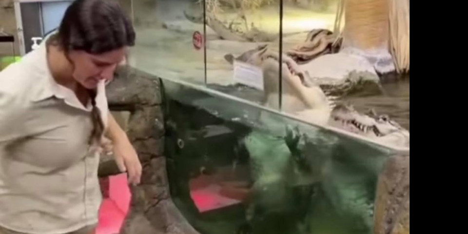 ZAMALO ONA DA ZAVRŠI KAO RUČAK! Ova devojka je hranila krokodile, ALI SU SE STVARI OTELE KONTROLI!