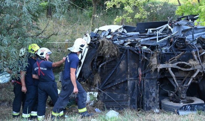 SRBIN UHAPŠEN U MAĐARSKOJ! Sa kombijem punim migranata dao se u bekstvo, PA NALETEO NA DRVO