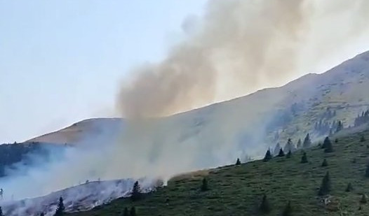 POŽAR NA KOPAONIKU! Nisko rastinje izazvalo haos! /Video/