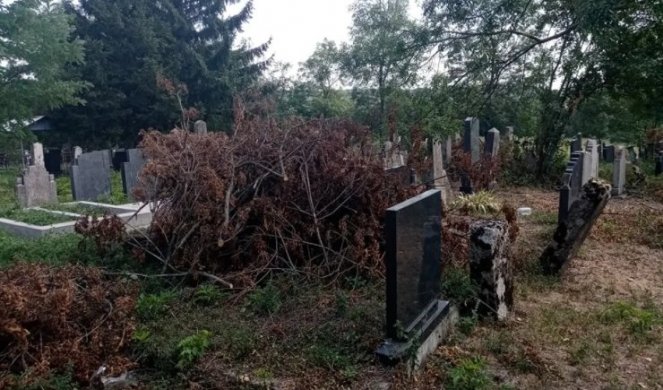 SKANDAL NA GROBLJU NADOMAK TOPOLE! Sređivali okolinu spomenika pa napravili haos, RODBINA PREMINULIH U ŠOKU/FOTO/