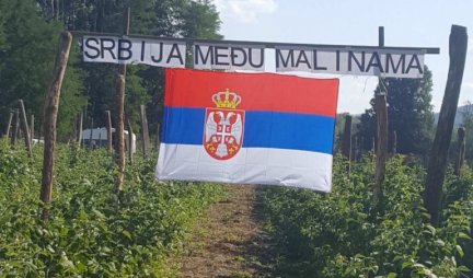 SRBIJA MEĐU MALINAMA! Arilje se pridružuje čestitkama povodom Dana srpskog jedinstva!