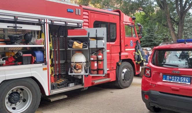 POŽAR NA ĐERDAPU: Gori nisko rastinje, vatrogasci se bore sa vatrenom stihijom