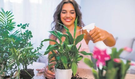 TERA ŠTETOČINE! Ovaj domaći rastvor čuva vaše biljke!