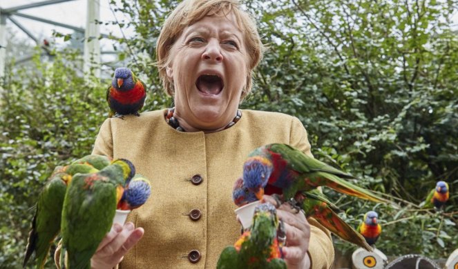 PAPAGAJ UGRIZAO ANGELU MERKEL! Snimak kako vrišti OBIŠAO SVET!