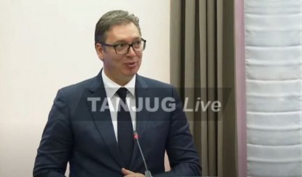 VUČIĆ IZ SLOVENIJE: Jedinstvena ideja da se umetnička diplomatija poveže sa vinskom diplomatijom