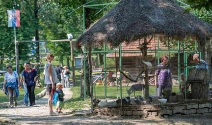 POSLE DVE „PTICE TRKAČICE“ STIŽE I KENGUR! Kragujevčani od smetlišta napravili Eko park sa 200 životinja, BIĆE IH JOŠ/FOTO/